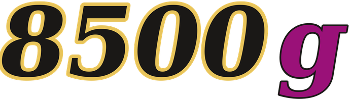 8500g logo